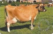 Karta Telefoniczna, JERSEY, Fauna