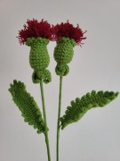 Kwiaty na szydełku Oset