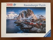 Puzzle Ravensburger 3000