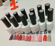 Zestaw Lakierów hybrydowe 12szt