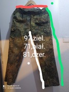 spodnie bdu flecktarn