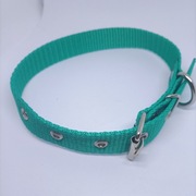 Obroża dla psa 25mm/50 cm różne kolory do wyboru