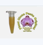 KEIKI maść do storczyków 1,5ml pasta cytokininowa