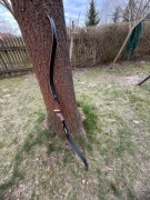 Łucznictwo - Łuk Buck Trail Antylope 40# 60"