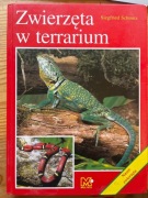 Zwierzęta w terrarium 