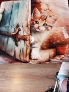 Poszewki na poduszki 