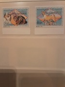 Mauretania  1991 Mi 999-1000  koty  seria  idealna