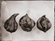 Ambrotypia - Hell's Kitchen 017