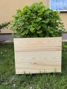 Doniczka ogrodowa sosnowa.