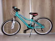 Rower Kross Lea Replica 24"