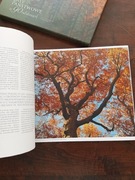 Lasy państwowe w 90 odsłonach NOWY album w etui 