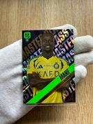 Top Class(Panini) Mane Master Class