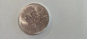 Moneta srebrna Kanadyjski Liść Klonu 1oz Czyste Srebro Tuba 25szt 5 dolarów