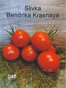 048-Slivka Bendrika Krasnaya. Pomidory kolekcjonerskie.