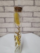 Dekoracja suszone kwiaty  w szklanym słoju 17,5 cm z korkiem