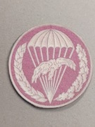 Naszywka oznaką 6PDPD, typ III, 6batalion zaoptrzenia i remontu