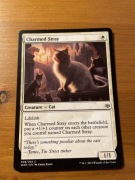 MTG Charmed Stray