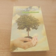 Anthony de Mello Przebudzenie