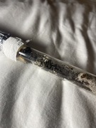 Messor Barbarus Red Head ok.100W