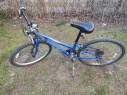 Rower górski Trek 800 sport