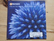 Płyta CD: Free As The Morning Sun (Scumfrog Mix) - Mr. Hermano