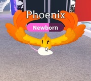 Adopt Me Roblox phoenix