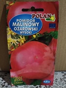 Pomidor malinowy Ożarowski wysoki
