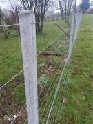 Słupki betonowe do siatki leśnej 