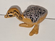 Figurka kolekcjonerska KINDER SURPRISE Animals 2023/2024.