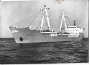 STATEK --- M/S - KOŁOBRZEG II --- REJS --- 1970