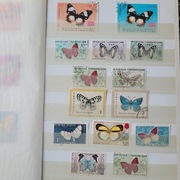 Motyle na 2 obrazkach i w klaserze