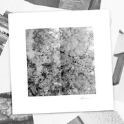 Autorska fotografia "Kwiaty II" - wydruk. 