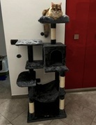 Drapak dla kota słupek do drapania domek dla kota