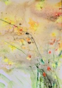 Akwarela pt. Kwiaty polne 2
