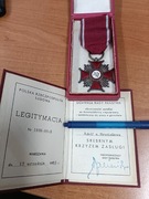 Srebrny krzyż zasługi p8