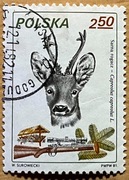 2605, * kasowany, Łowiectwo