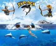 Gra łucznicza – Rekiny