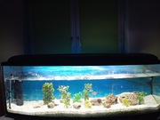 Akwarium 300l panoramiczne   full zestaw