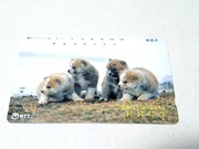 25 -  karta tel. Japonia 4 małe pieski