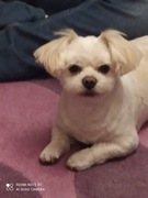 Basen stelażowy okrągły Intex 457 x 457 cm