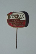 ZNACZEK PRZYPINKA WPINKA PIN 1973 FINAŁ III SPARTAKIADY MŁODZIEŻY