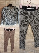 Zestaw Bluza S Legginsy Zara 164 bawełna zebra panterka dżungla wiek 13/14 
