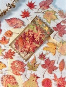 SCRAPBOOKING PAMIĘTNIK NAKLEJKI JESIENNE LIŚCIE 40 SZTUK