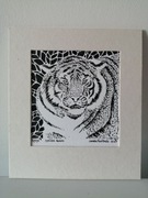 Grafika/Rysunek tygrys, tusz, oprawa
