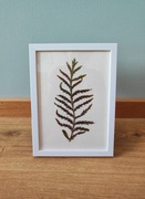 Obrazek z suszonych kwiatów 