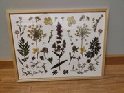 Obrazek z suszonych kwiatów 