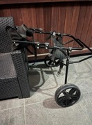 Wózek inwalidzki dla psa dużego typu owczarek  niemiecki 