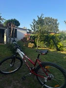 Rower Wheeler pro 600