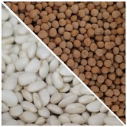 Mega Paka Fasola Jaś 5kg + Groch cały 5 kg