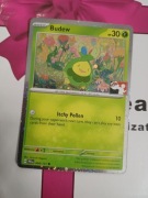Karta Pokemon Budew PRE 4 PPS8 Holo Prize Pack Series 8